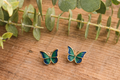 Beautiful Butterfly Earrings